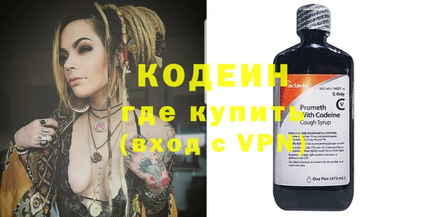 индика Арсеньев