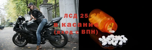 индика Арсеньев