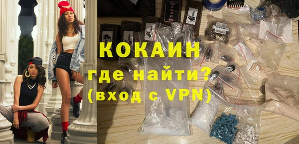индика Арсеньев