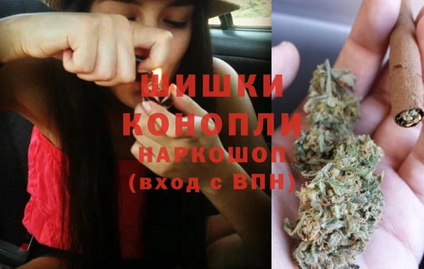 индика Арсеньев