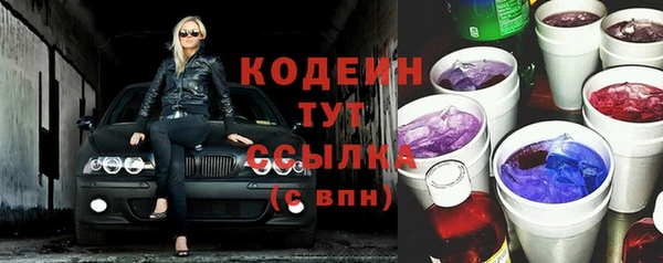 индика Арсеньев
