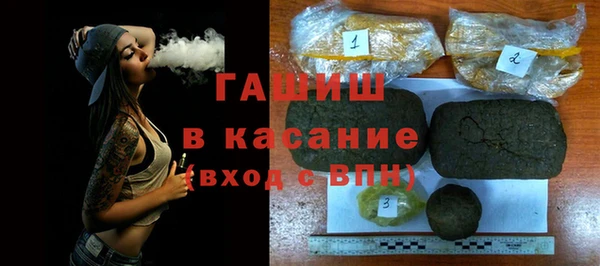 индика Арсеньев